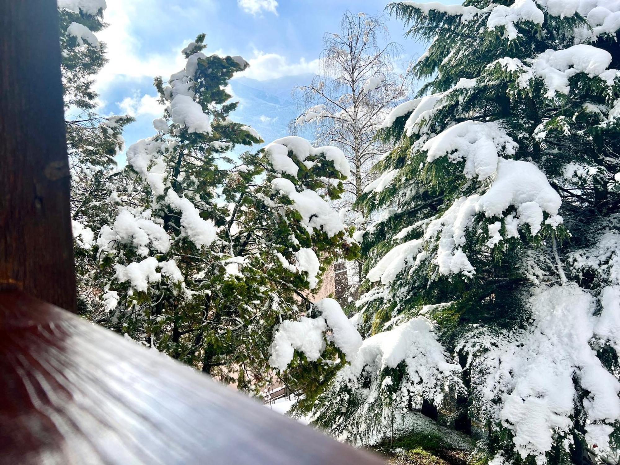 Chalet Bormio Terme المظهر الخارجي الصورة